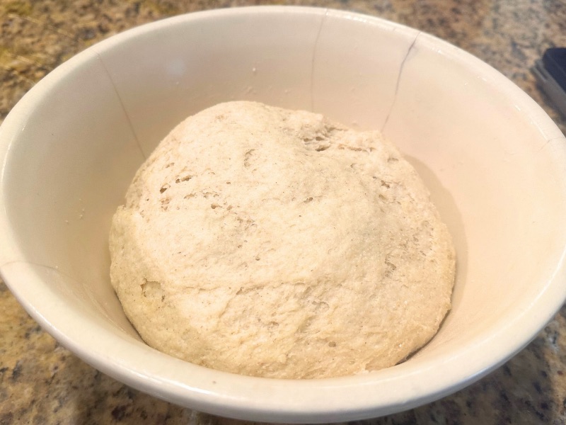 risen pizza dough in a bowl on countertop